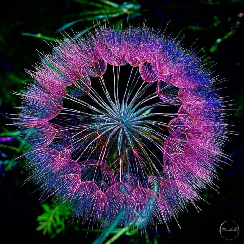 Luster